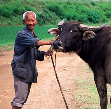 小型飼料顆粒機(jī),農(nóng)民圓夢！